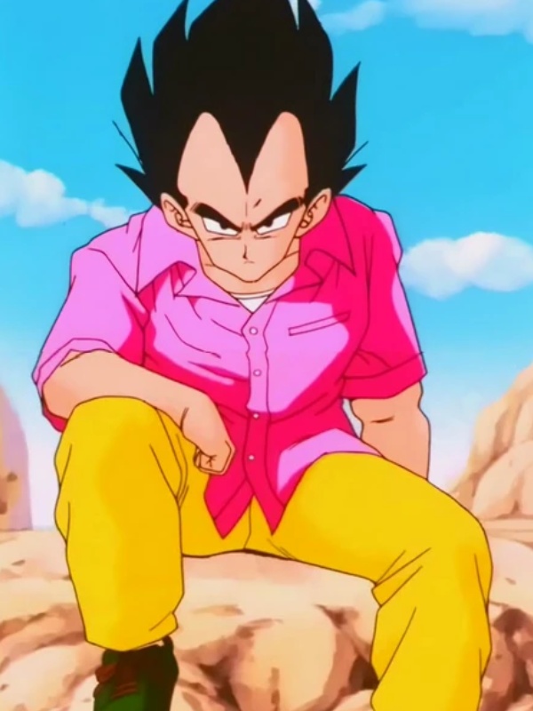 Vegeta Dragon Ball Z Pink Shirt - Hit Jacket