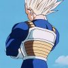 Saiyan Armor Weighted Vest