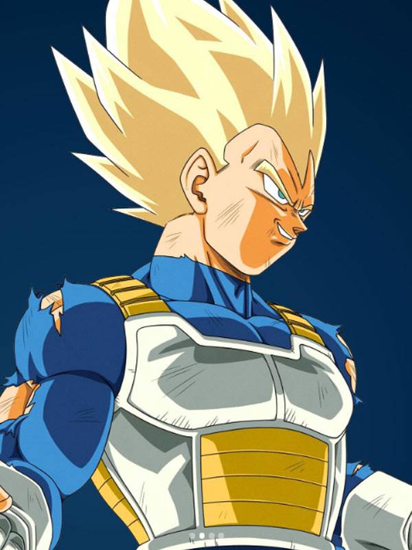 Dragon Ball Z Vegeta Saiyan Armor Weighted Vest Dragon Ball Vegeta Saiyan Armor Weighted Vest