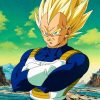 Dragon Ball Z Vegeta Saiyan Armor Weighted Vest