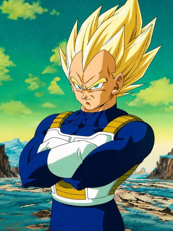 Saiyan Armor Weighted Vest Dragon Ball Z Vegeta Saiyan Armor Weighted Vest