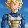 Dragon Ball Z Vegeta Saiyan Armor Weighted Vest - Unisex